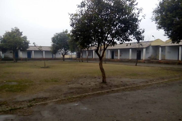 Kendriya Vidyalaya-School View