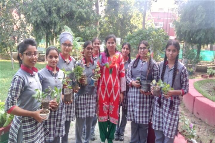 Kendriya Vidyalya-Tree Plantation