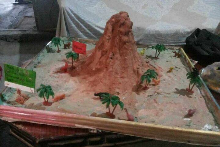 Lakshmi Devi Sahni School-Science Experiment