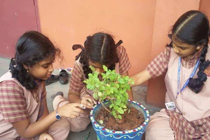 Amrita Vidyalayam-Planting