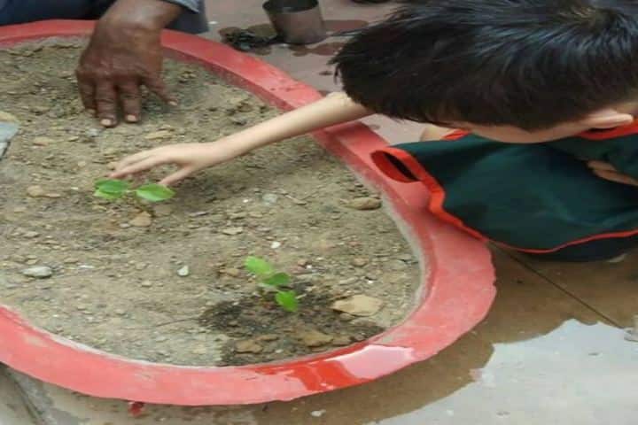 Manav Sehyog School-Tree Plant