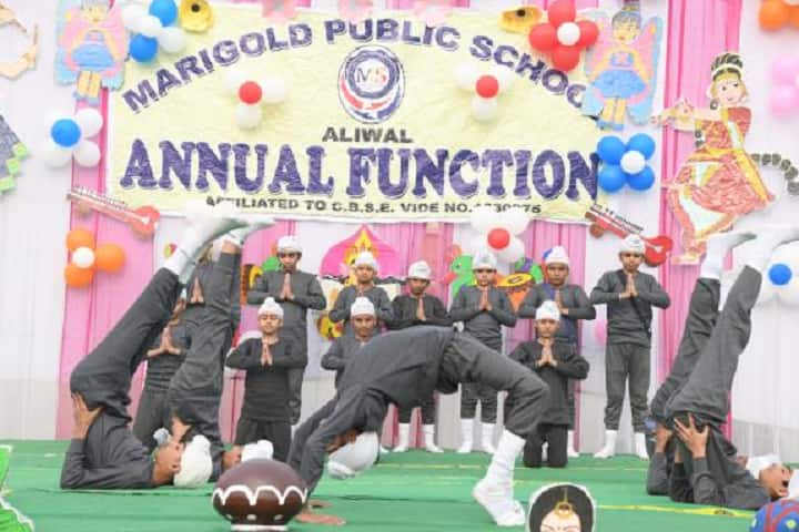 Marigold Public School-Annual Function