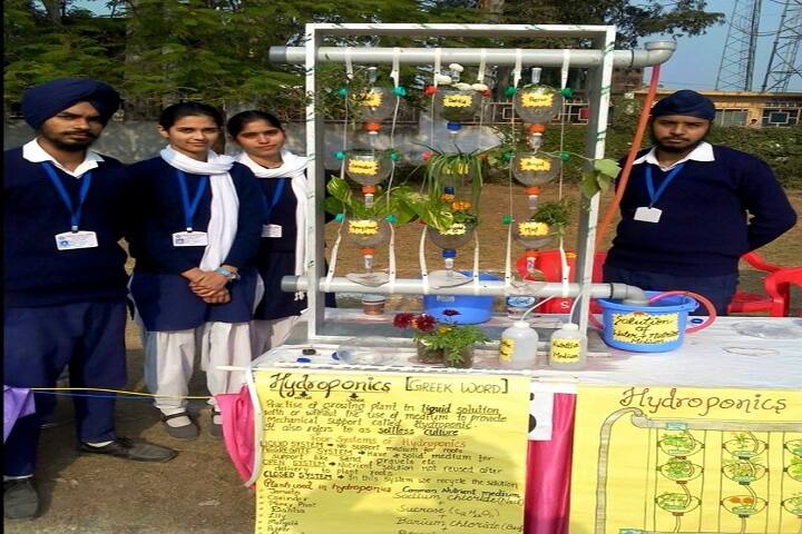 Marigold Public School-Students Project