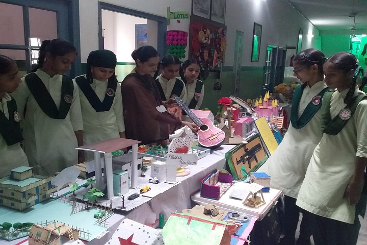 Mata Gujri Public Senior Secondary School-Science Exhibition