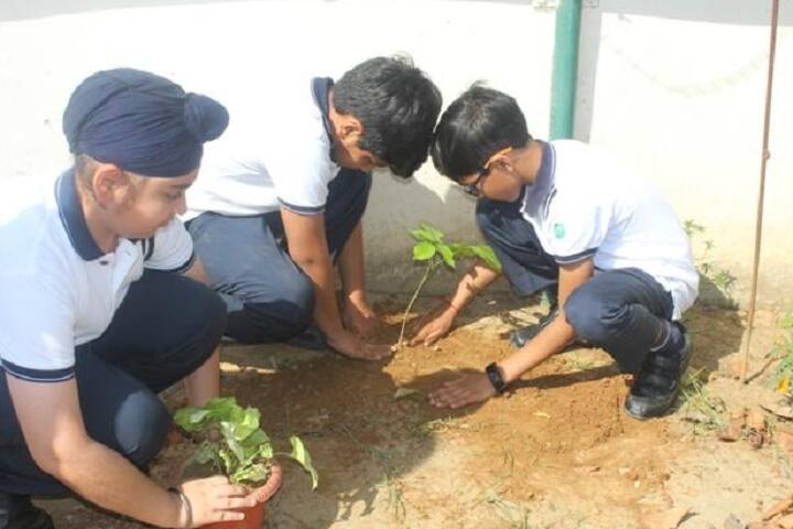 Mayor World School-Green day
