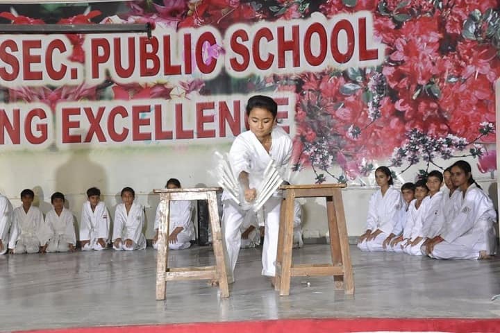 Mela Devi Kalra Arya School-Martial Arts