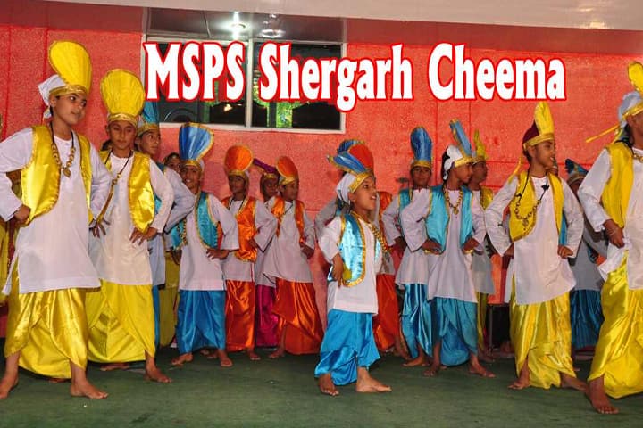 Modern Secular Public School-Annual day