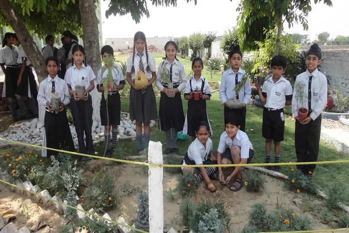 Mother India Public School-Plantation