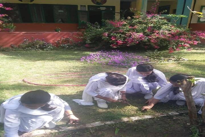 Netaji Model School-Gardening