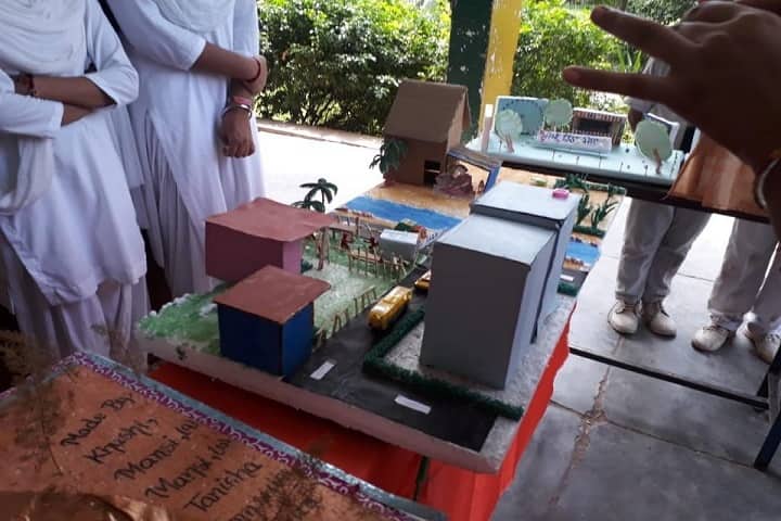 Netaji Model School-Science Exhibition