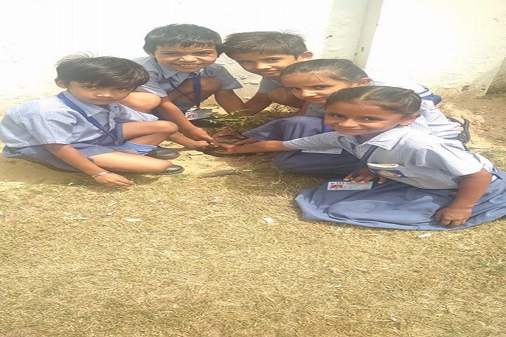 NRM Holly Heart Convent School-Tree Plantation