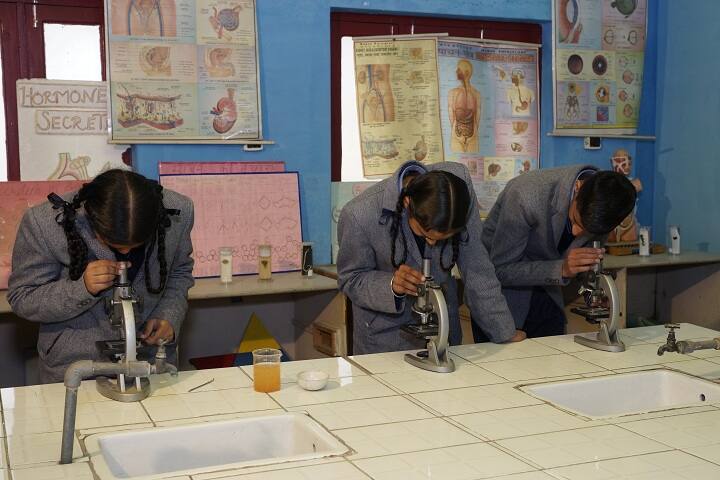 Rajindera Public Senior Secondary School-Biology Lab