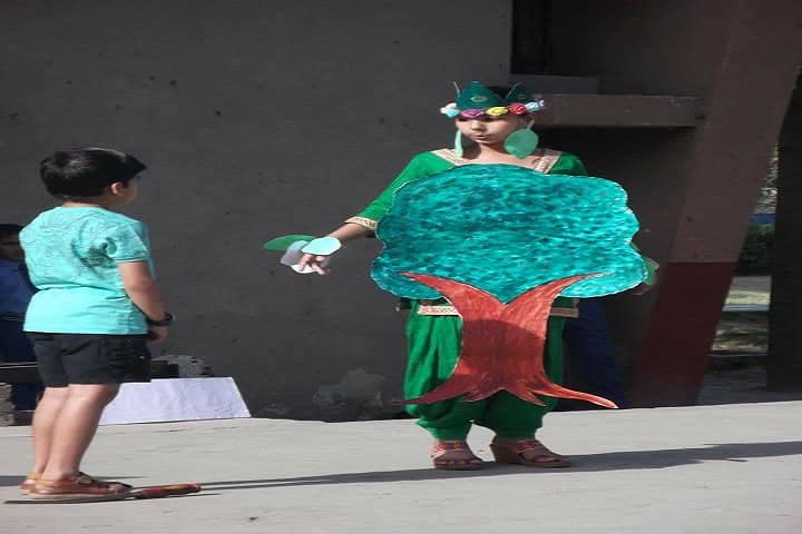 Rayat International School-Environment Activity