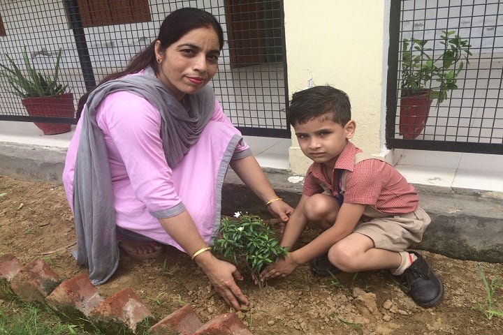 Roop Vatika-Plant A Tree Activity
