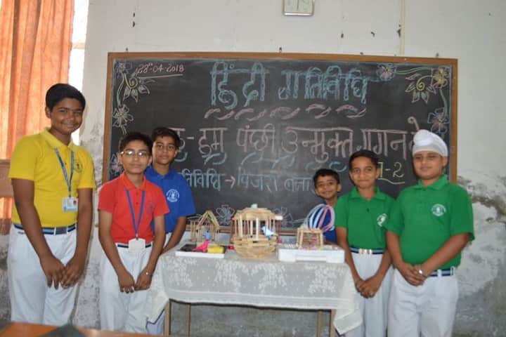 Rsd Raj Rattan Public School-Exhibition