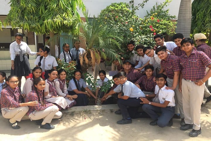 SDKL Dav Centenary Public School-Activity