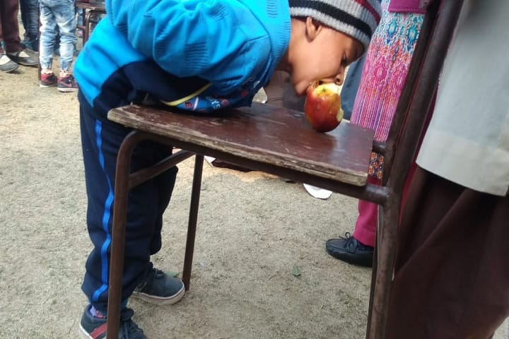 S Harbans Singh International Public School-Activity