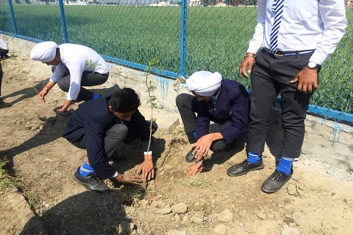 S K Public Senior Secondary School-Plant a Tree Program