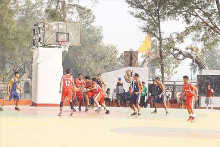 Sacred Heart Convent Senior Secondary School-Sports