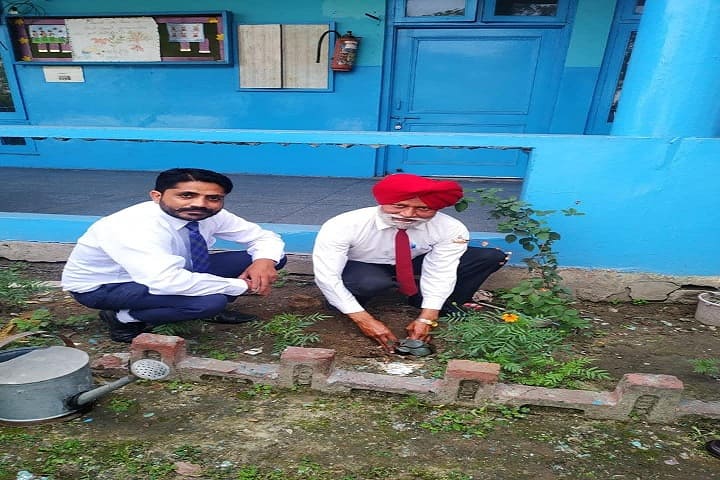 Sacred Heart Senior Secondary School-Plant a Tree
