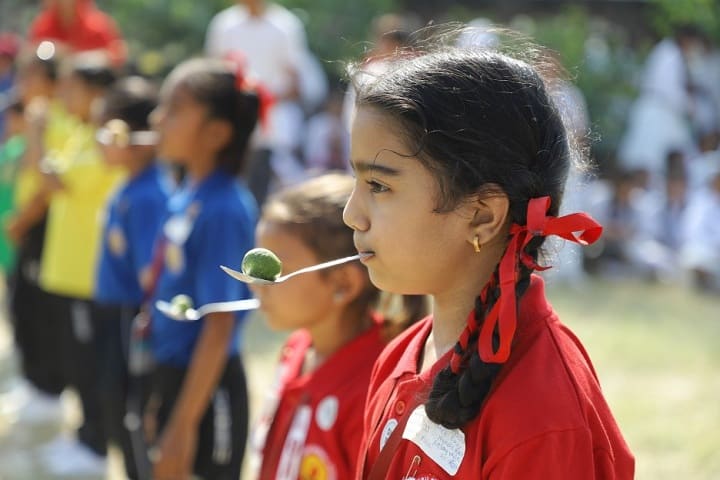 Sadhu Singh Shergil Academy-Activity