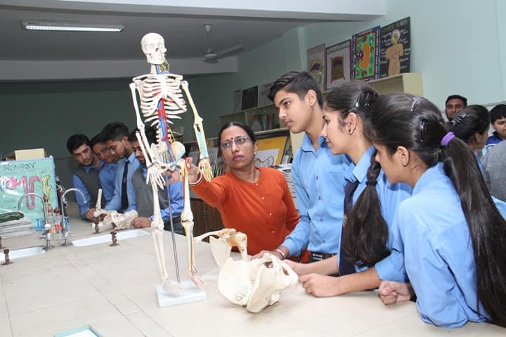 Sanskiriti Kmv School-Biology Lab