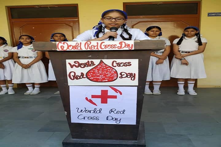 Sant Baba Nidhan Singh Ji Public School-World Red Cross Day