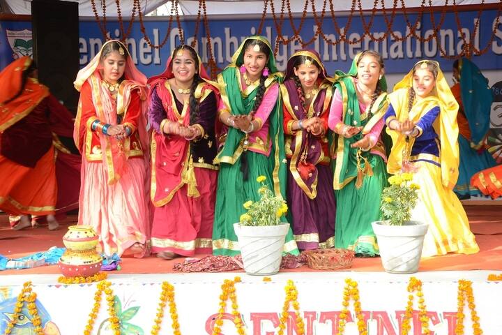 Sentinel Cambridge International School-Dance