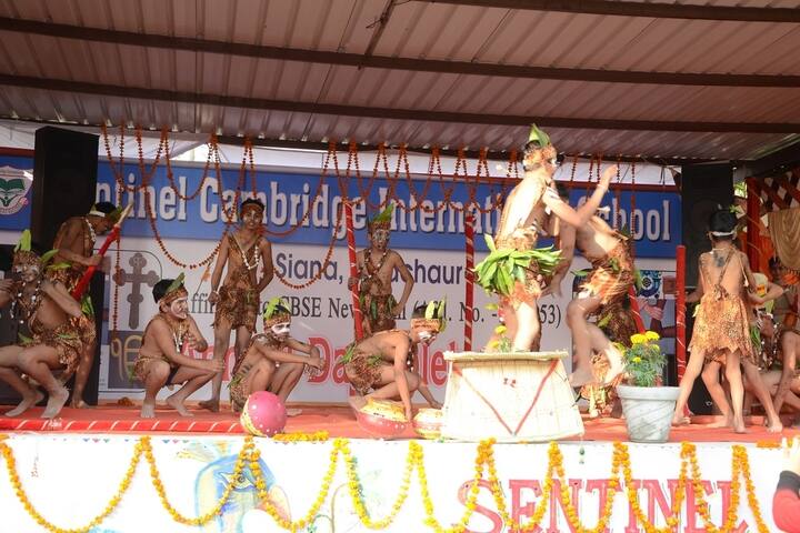 Sentinel Cambridge International School-Drama