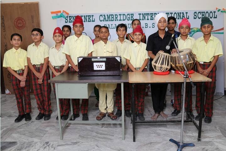 Sentinel Cambridge International School-Music