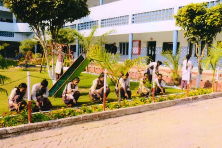 Shah Balwant Rai D A V Public School-Environment Day