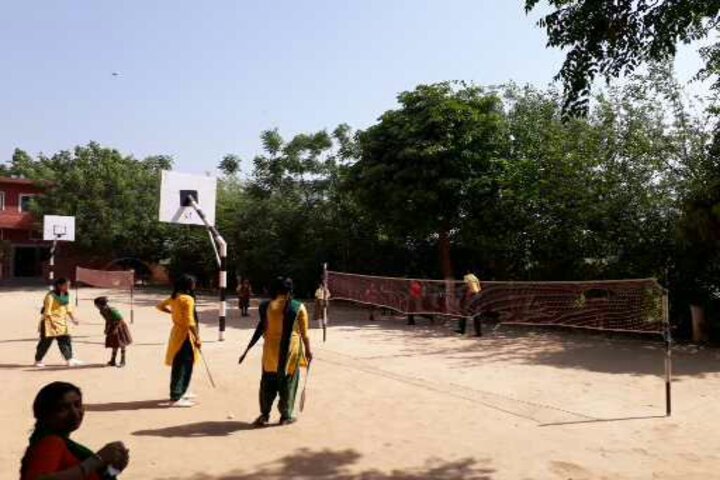Shaheed Babu Singh Public School-Sports