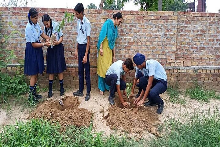 Shri Guru Nanak Dev Public School-Plantation