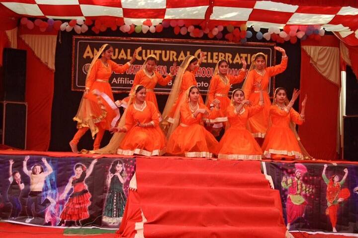 Silver Vatika Public School-annual day