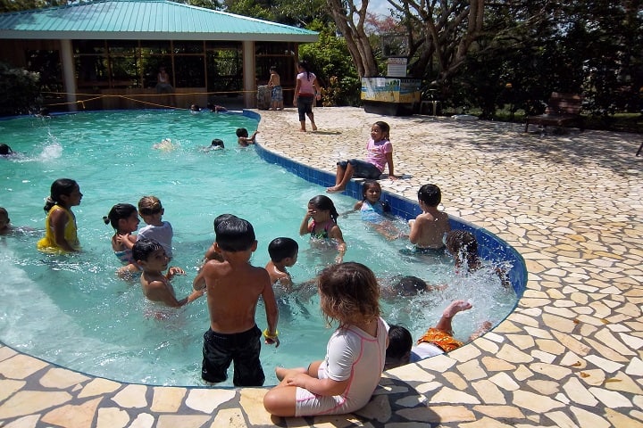 Spring Field Convent School-Swimming Pool
