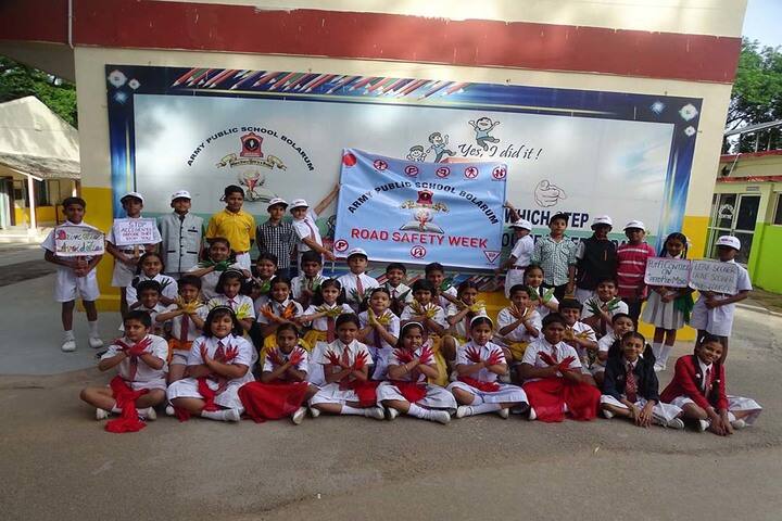 Army Public School-Others