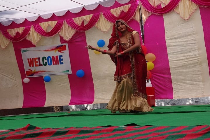 Sri Dasmesh Senior Secondary Public School-Annual Day