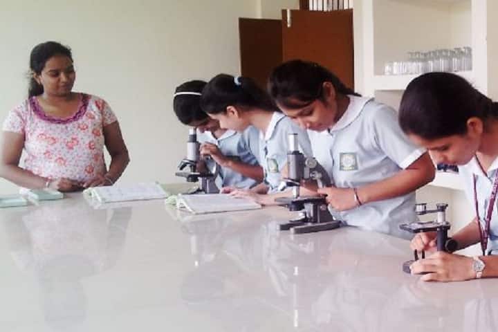 St Ezra International Senior Secondary School (EIS) KhararAddress, Admission, Phone Number, Fees, Reviews