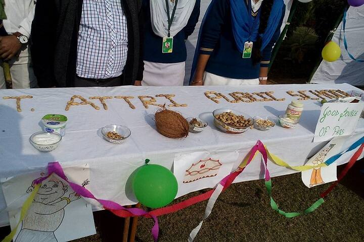 St Attri Public School-Science Exhibition