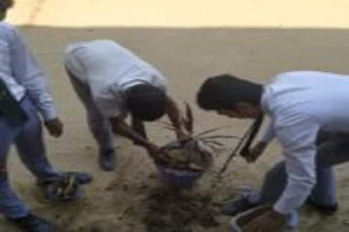 Kainat International School-Environmental Day