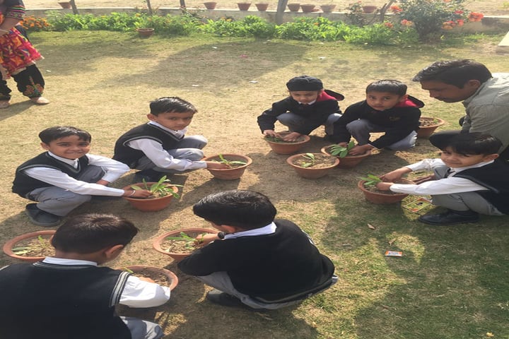 The Gladiolus School-Plant a Tree