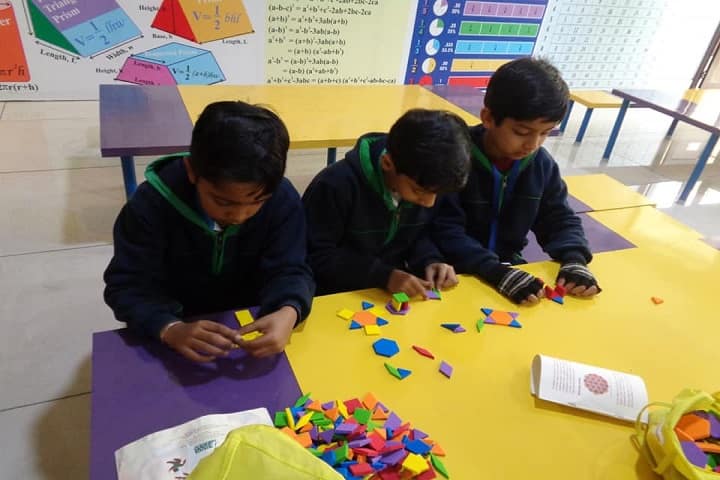 The Millennium School-Activity