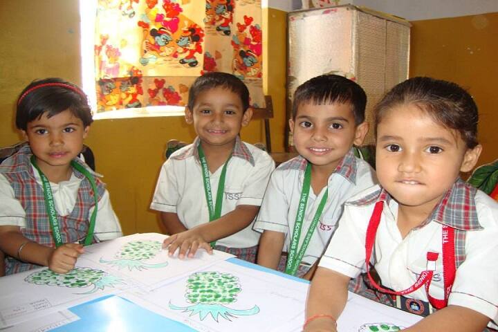 The Senior Scholars School-Activity