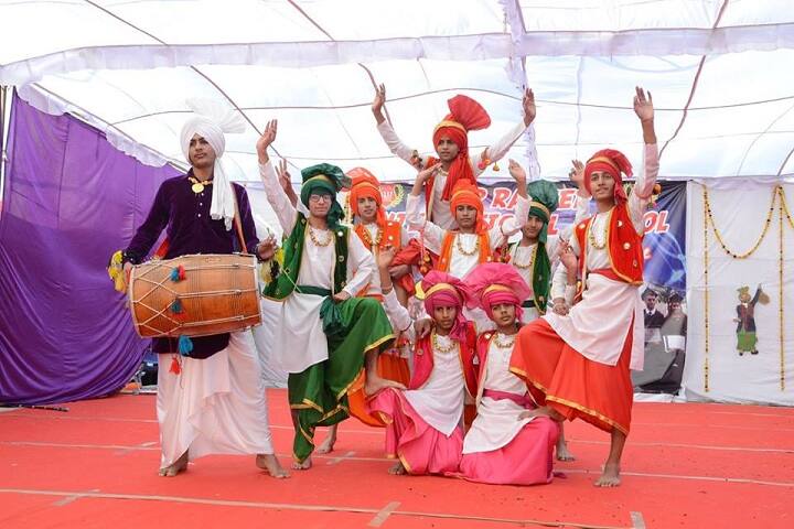Top Ranker International School-annual day