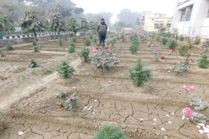 Kendriya Vidalaya No 2-Rose Garden
