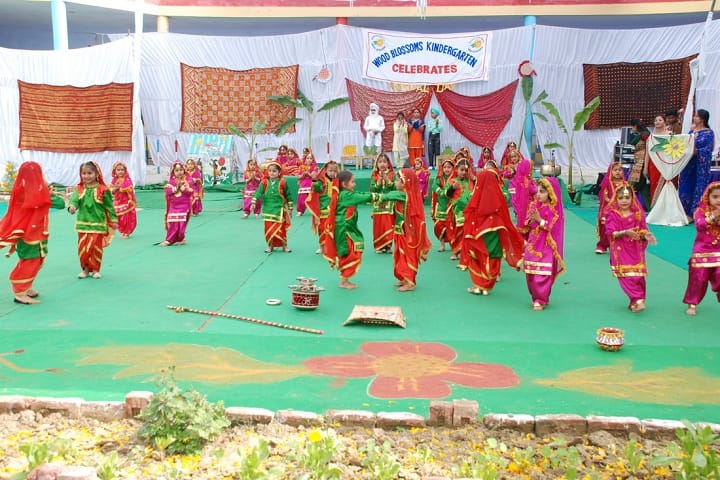 Wood Blossom School-Annual Day