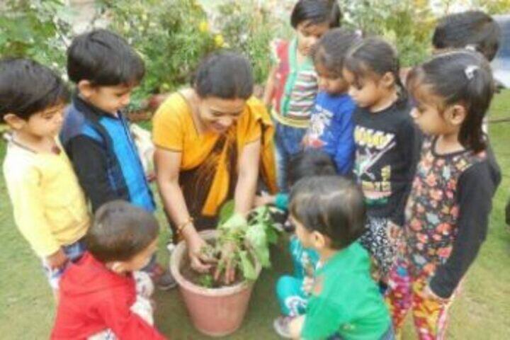 Aklank Public SchoolPlantation