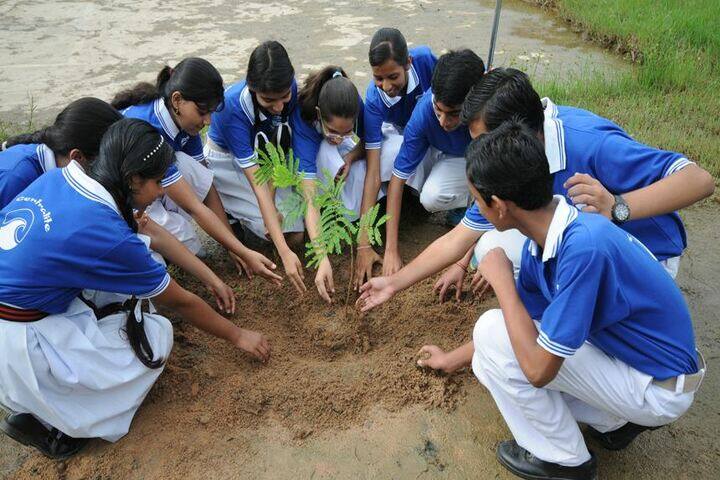 Central Academy Senior Secondary School-Tree Plantation