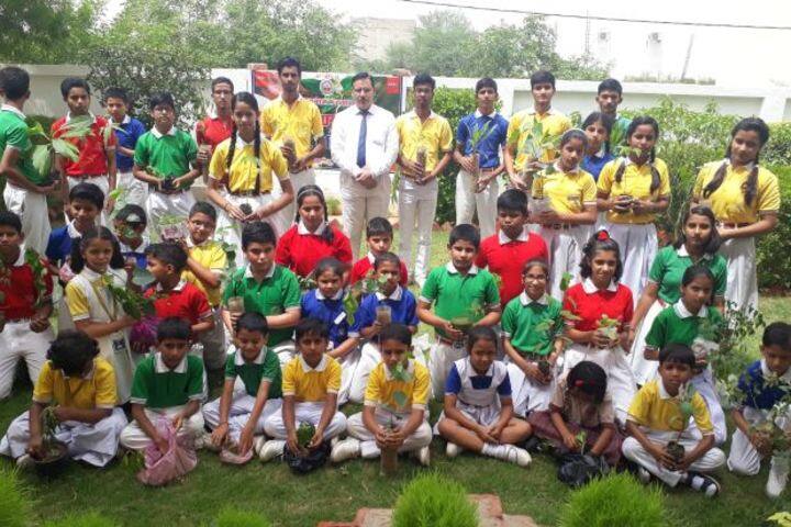 Dav Public School-Tree Plantation