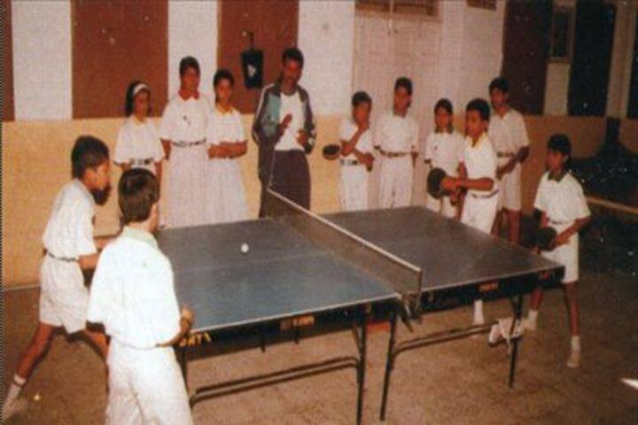 Dayanand Public School-Sports